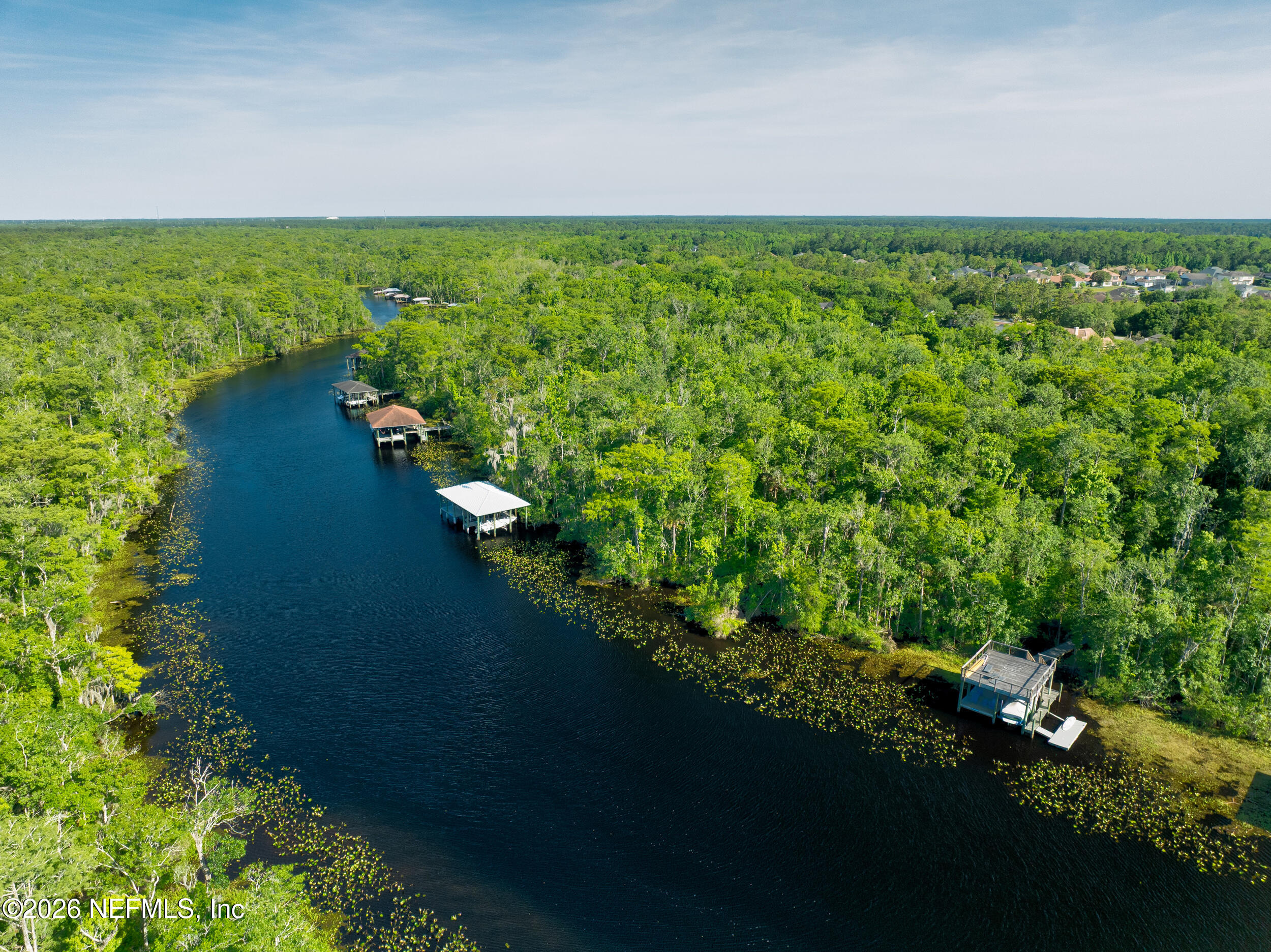 3075 Bishop Estates Road St. Johns, FL 32259 - Photo 21 of 39 Your Future Backyard