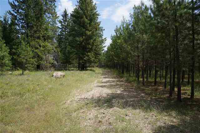 41718 North Division Road Deer Park, WA 99006 - Photo 1 of 8 Gallery Image 1