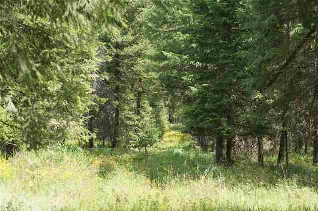 41718 North Division Road Deer Park, WA 99006 - Photo 7 of 8 Gallery Image 7