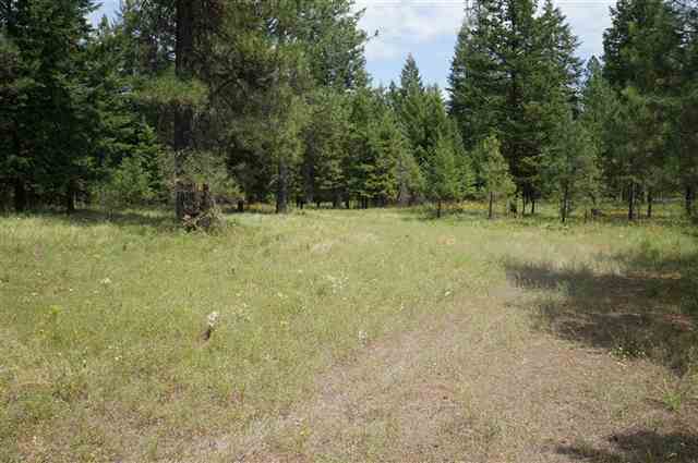 41718 North Division Road Deer Park, WA 99006 - Photo 8 of 8 Gallery Image 8