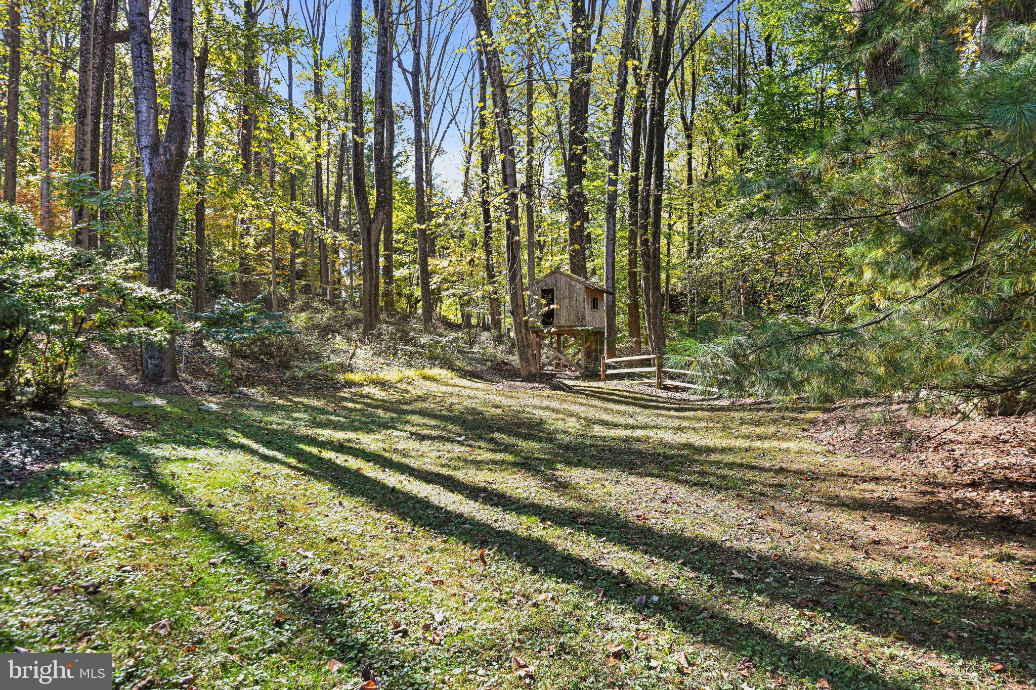 11273 Waples Mill Road Oakton, VA 22124 - Photo 12 of 75