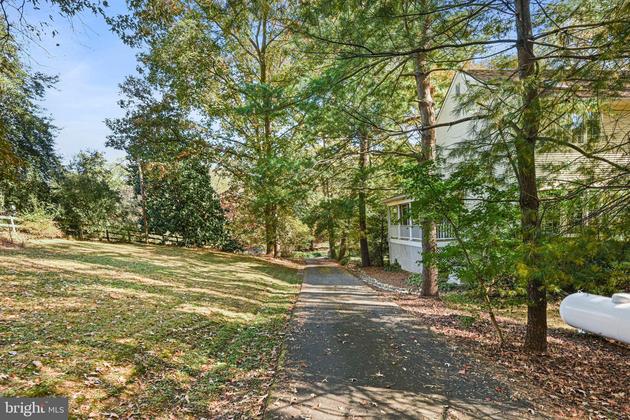 11273 Waples Mill Road Oakton, VA 22124 - Photo 16 of 75 a view of a yard with large trees