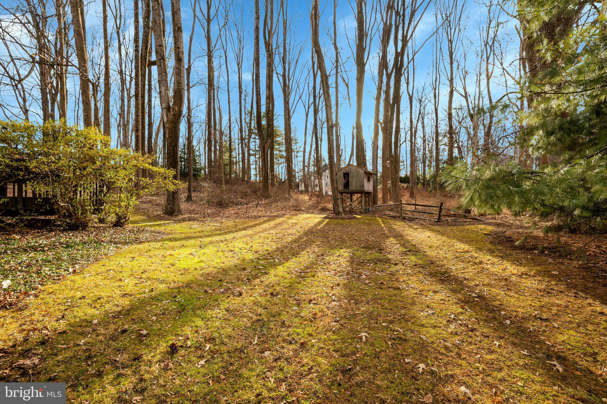 11273 Waples Mill Road Oakton, VA 22124 - Photo 28 of 75