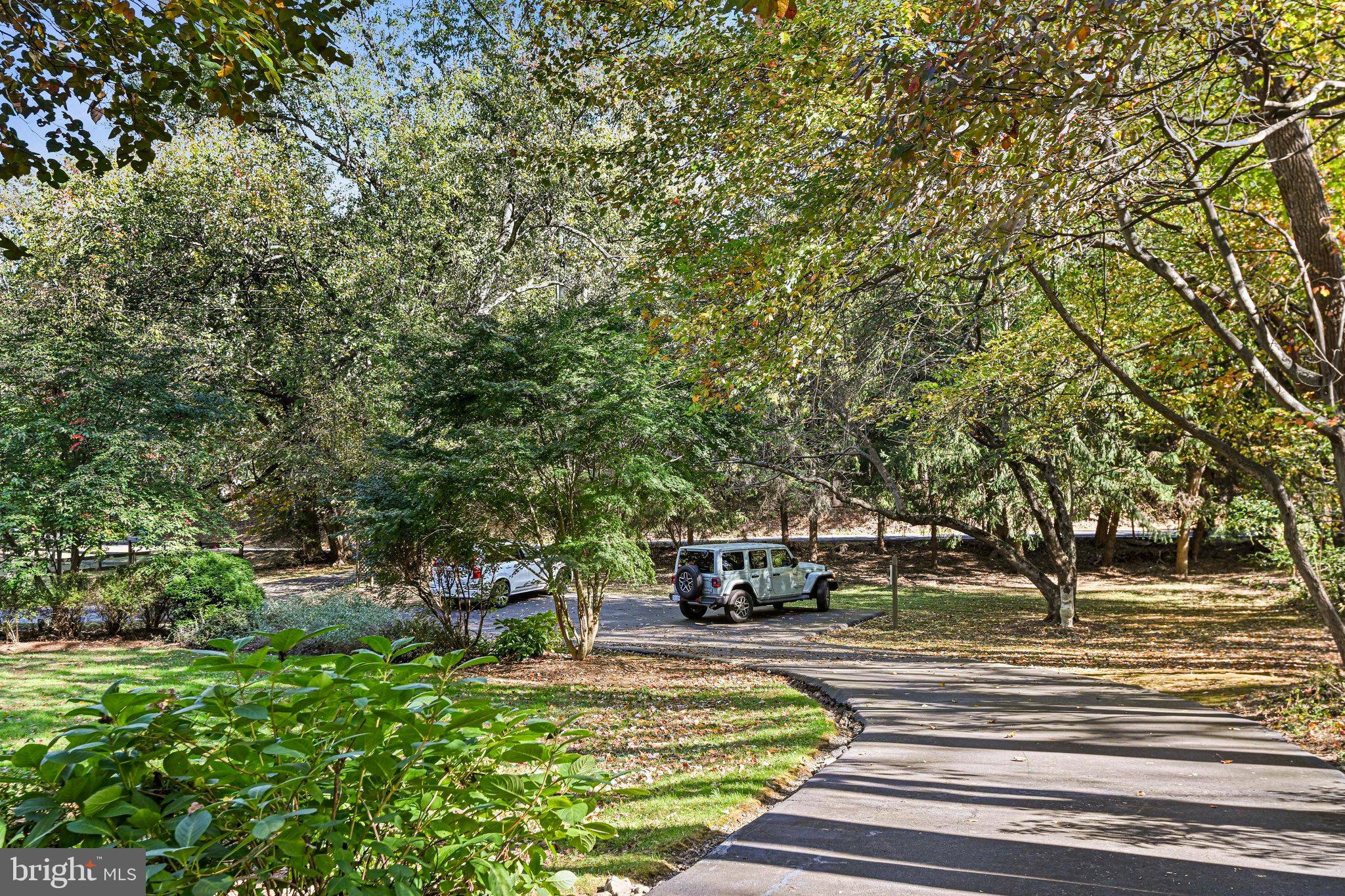 11273 Waples Mill Road Oakton, VA 22124 - Photo 5 of 75 a view of outdoor space with garden and trees