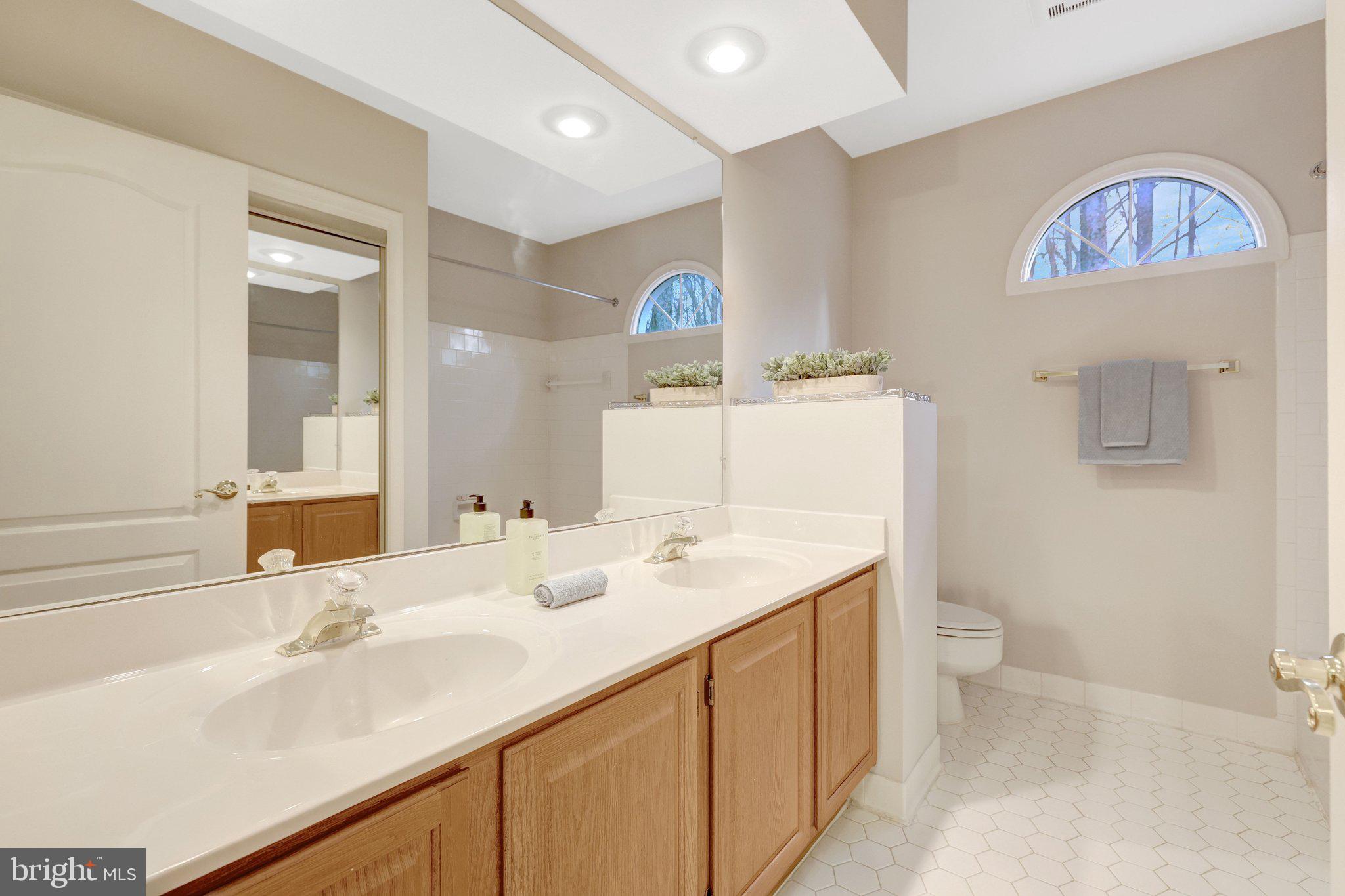 11273 Waples Mill Road Oakton, VA 22124 - Photo 64 of 75 a bathroom with a sink and a mirror