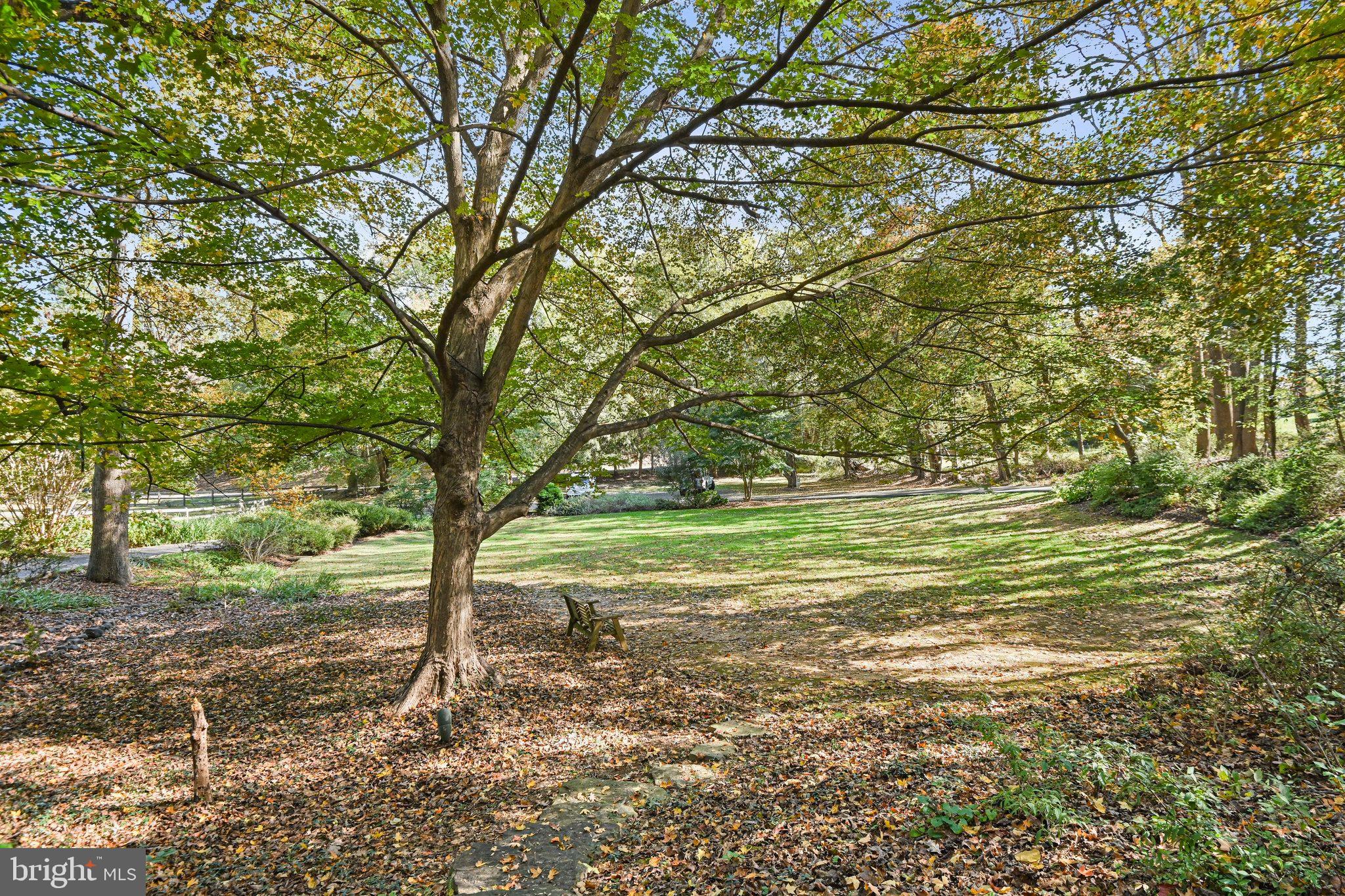 11273 Waples Mill Road Oakton, VA 22124 - Photo 9 of 75