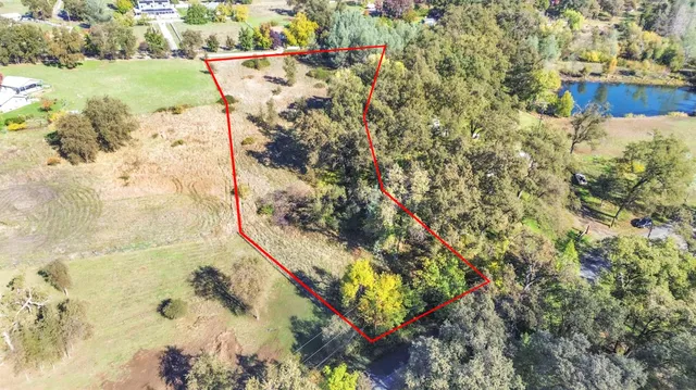 a view of yard with green space