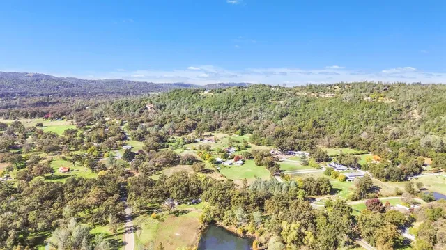 a view of a yard with plants