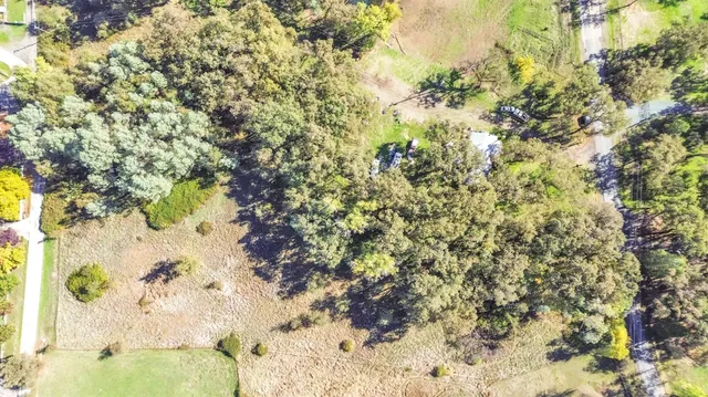 a picture of flowers and flowers