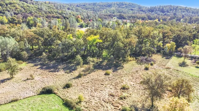a view of a park with large trees