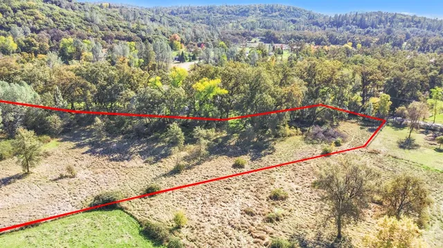a view of yard with large trees