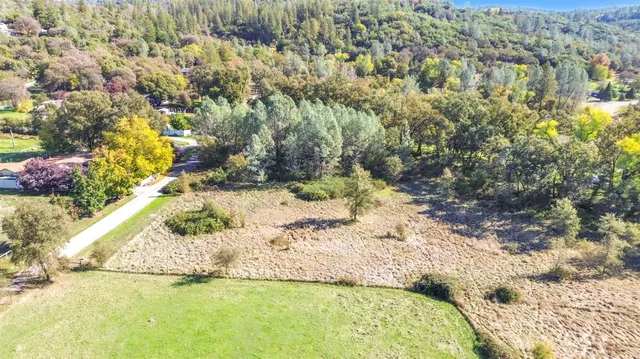 a view of yard with tree