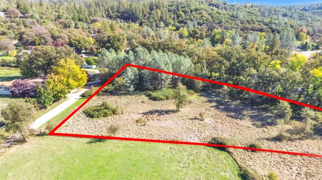 a view of yard with trees