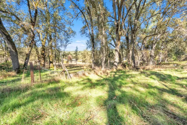 a view of yard with green space