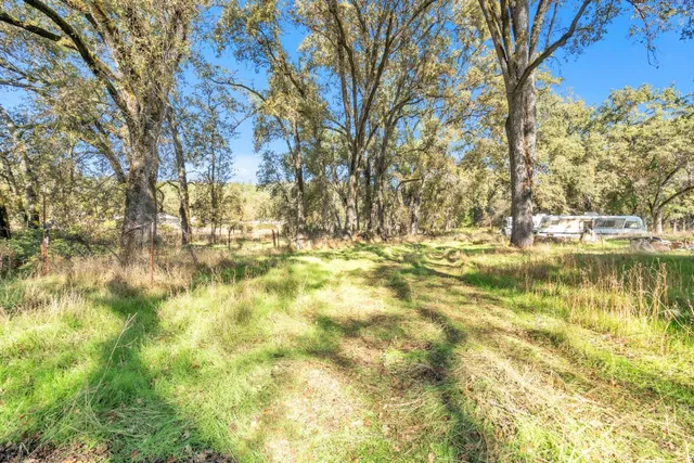 a view of yard with trees