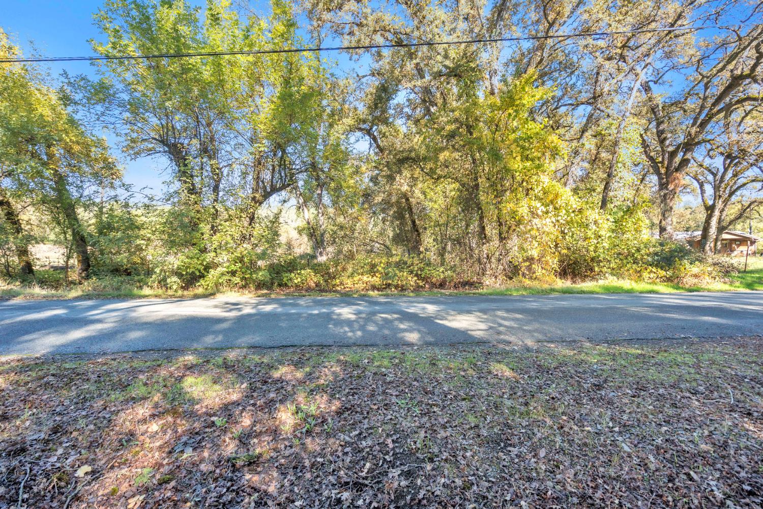 10185 Valley Drive Rough and Ready, CA 95975 - Photo 33 of 35 a view of yard with trees