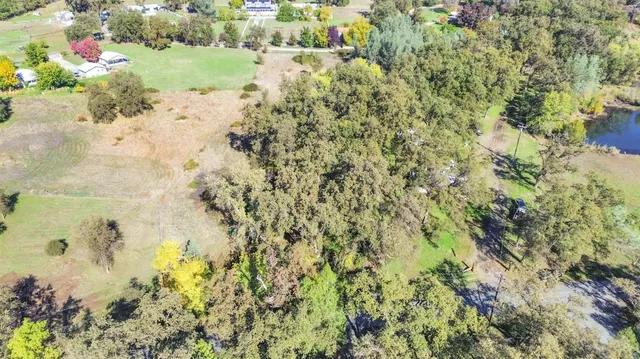 a view of a bunch of trees and houses