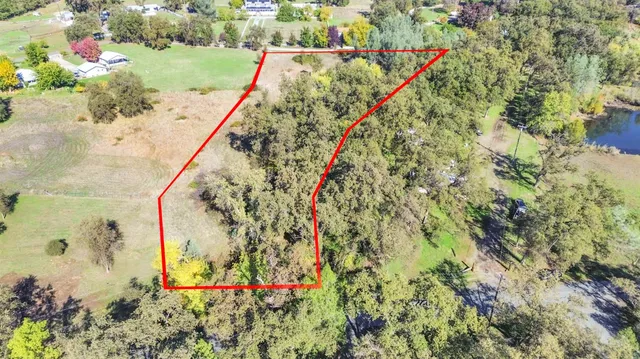 a view of a yard with a flower garden