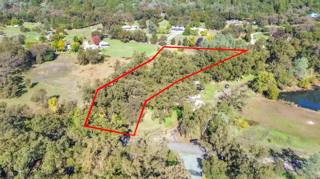 a view of a yard with plants