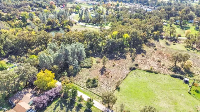a view of a yard with a tree