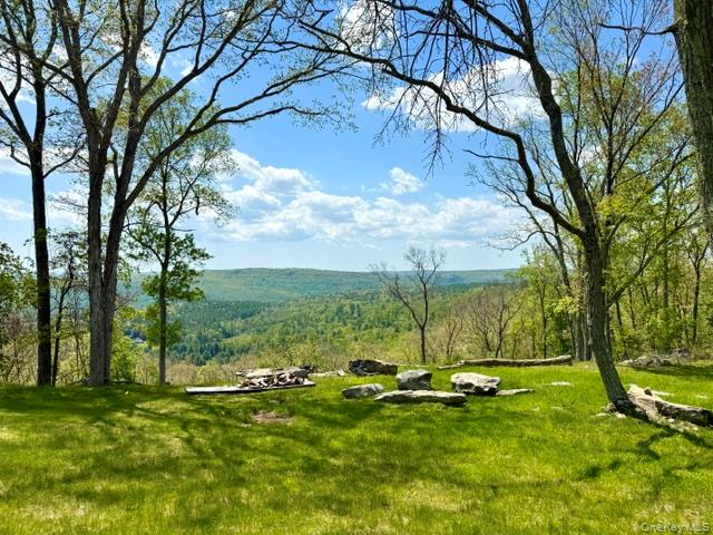 125 Mapes Road Barryville, NY 12719 - Photo 33 of 37 a view of a park with large trees