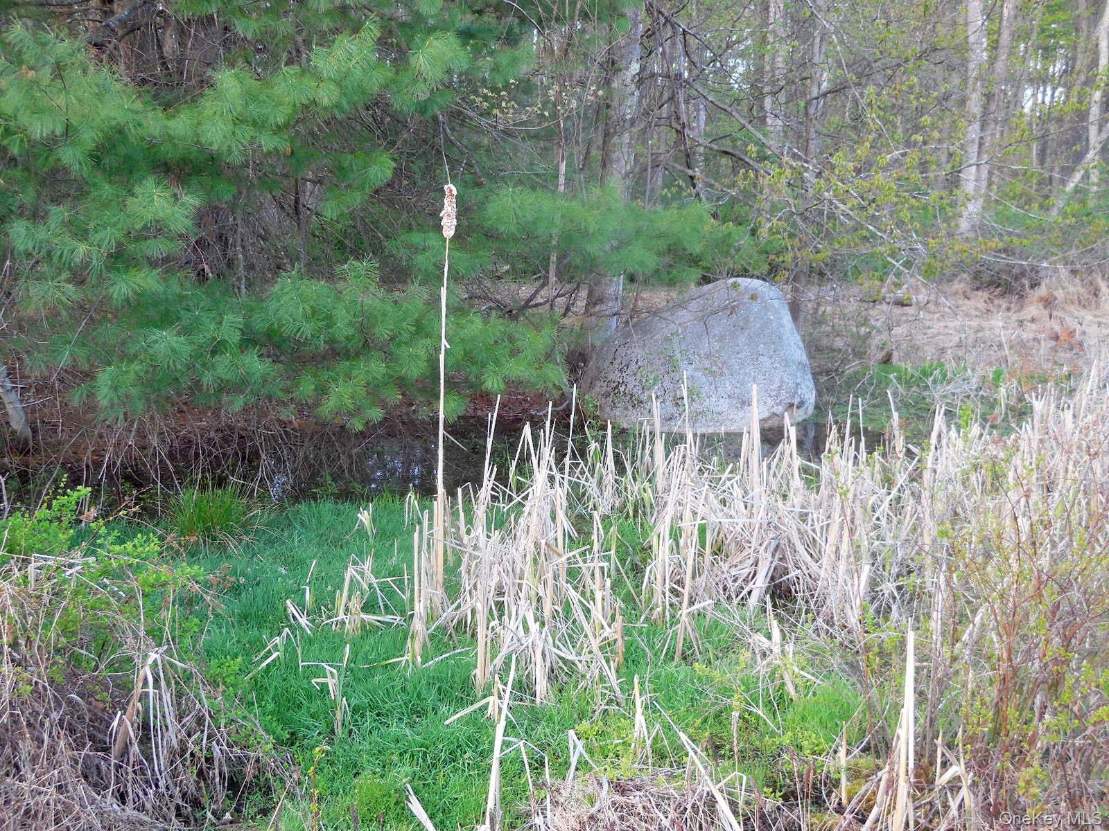 617 Burlingham Road Bloomingburg, NY 12721 - Photo 32 of 39 Second small pond area, could be landscaped into a sweet water garden.