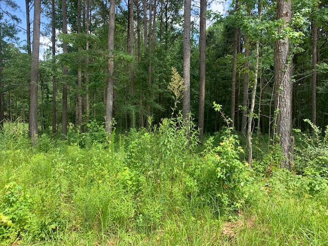 Lot 22 Crow Road Dalton, GA 30721 - Photo 3 of 4 IMG_5252