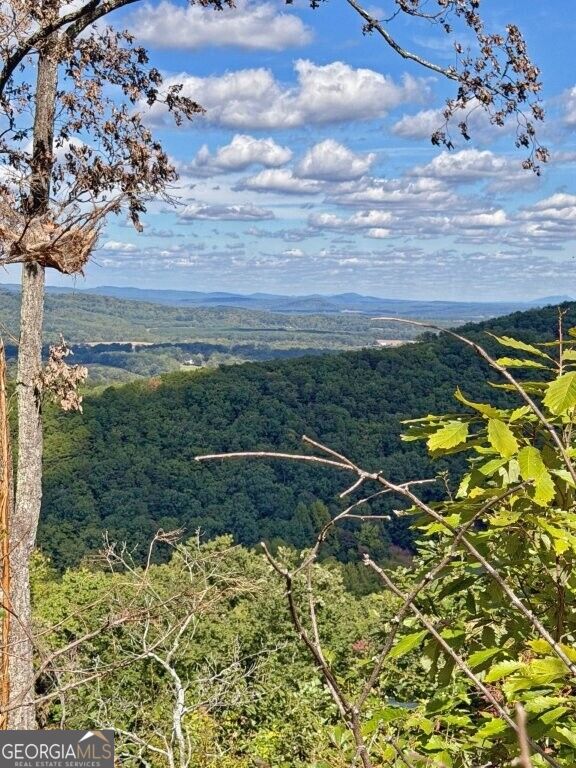 0 Fox Mountain Road Marston, NC 28363 - Photo 2 of 11 Gallery Image 2