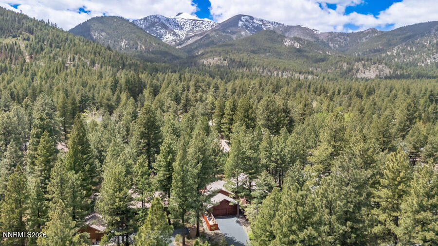 350 Black Pine Court Reno, NV 89511 - Photo 12 of 60 b-1012