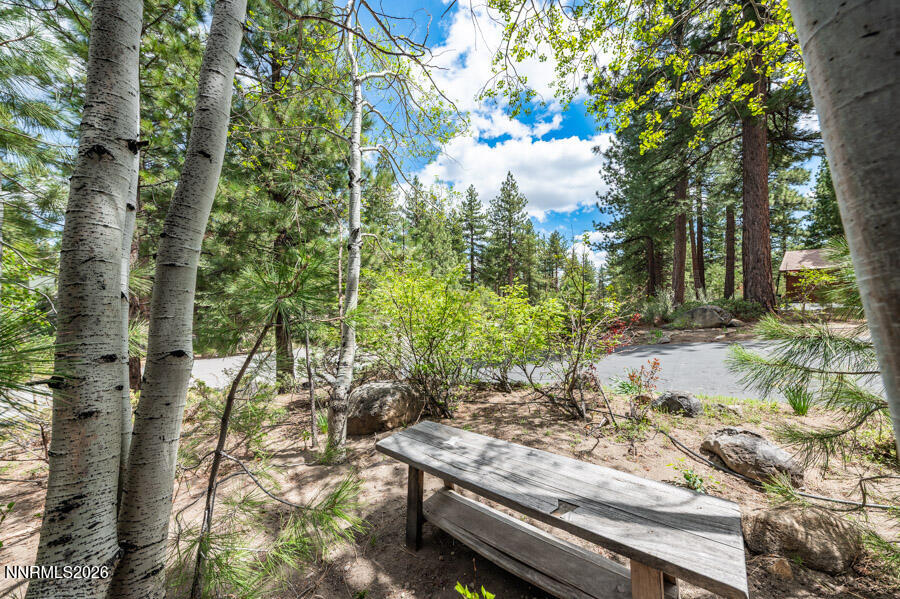 350 Black Pine Court Reno, NV 89511 - Photo 19 of 60 b-1019