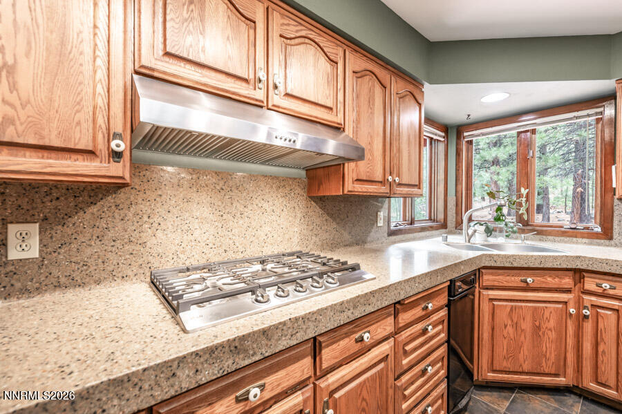350 Black Pine Court Reno, NV 89511 - Photo 42 of 60 b-1044