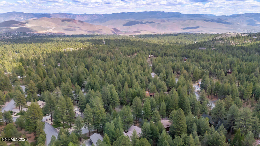 350 Black Pine Court Reno, NV 89511 - Photo 57 of 60 b-1060