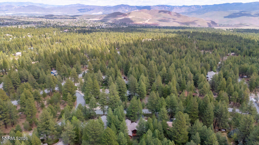 350 Black Pine Court Reno, NV 89511 - Photo 58 of 60 b-1061
