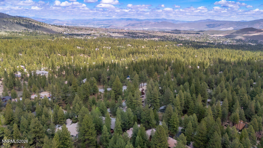 350 Black Pine Court Reno, NV 89511 - Photo 59 of 60 b-1062