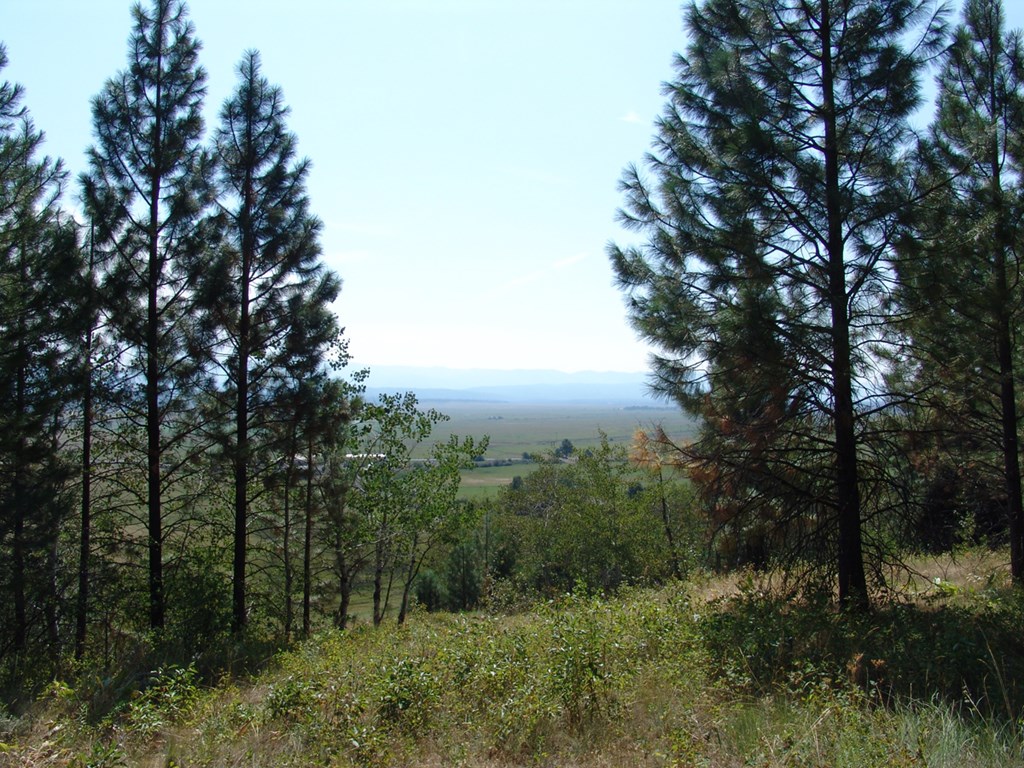 105 Poplar Lane, Unit 11 Cascade, ID 83611 - Photo 13 of 16 A View Your Would Never Tire Of