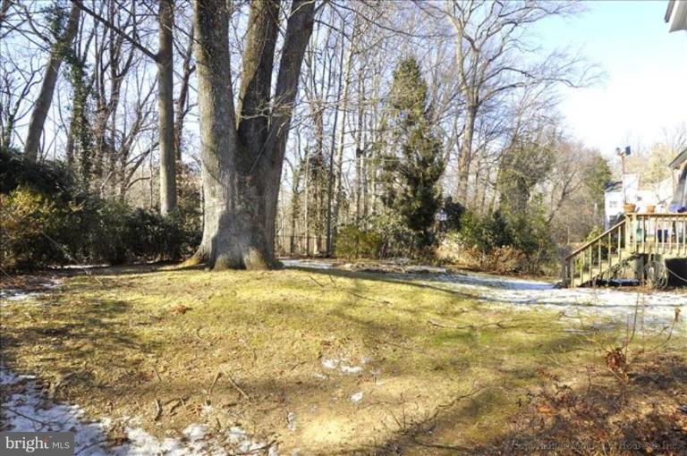 4604 Tournay Road Bethesda, MD 20816 - Photo 17 of 23 Deck - View from