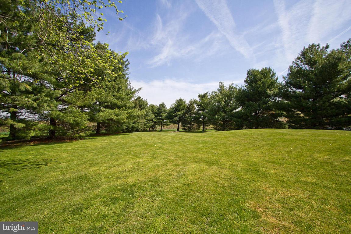 435 Blake Terrace Manheim, PA 17545 - Photo 34 of 54 Gallery Image 34
