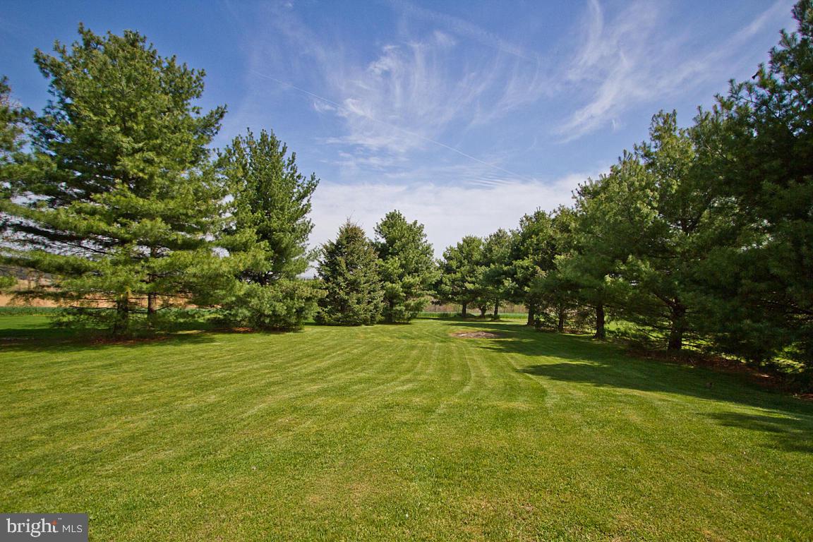 435 Blake Terrace Manheim, PA 17545 - Photo 36 of 54 Gallery Image 36
