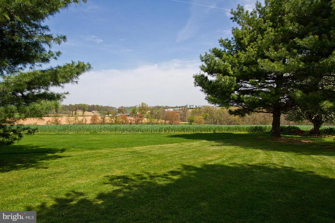 435 Blake Terrace Manheim, PA 17545 - Photo 37 of 54 Gallery Image 37