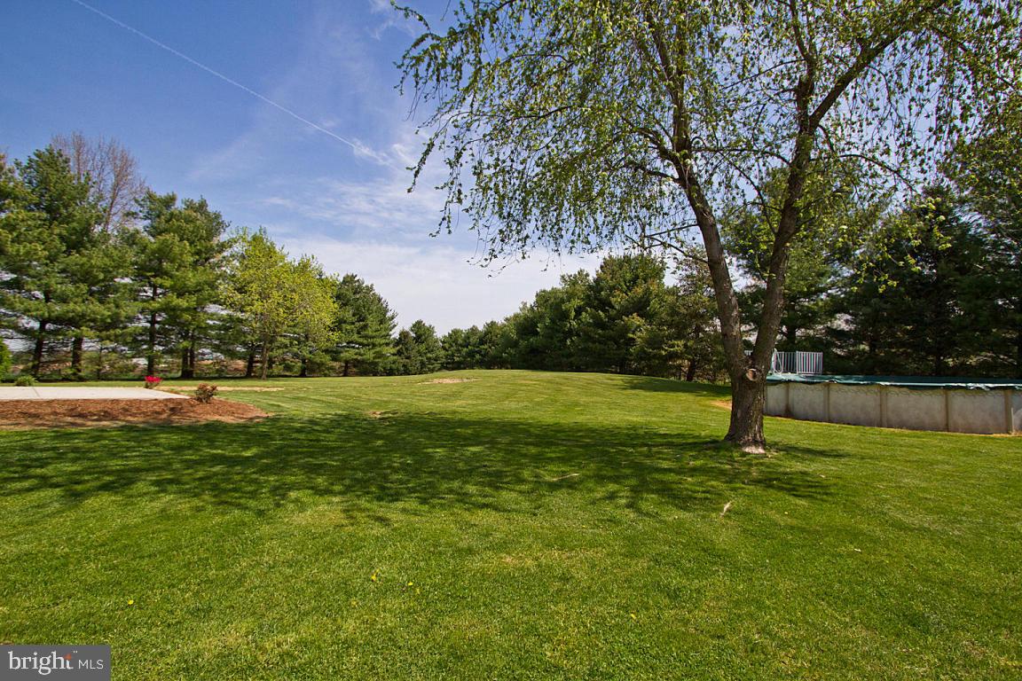 435 Blake Terrace Manheim, PA 17545 - Photo 41 of 54 Gallery Image 41