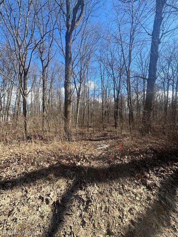 V/l Hartland Road Fenton, MI 48430 - Photo 5 of 8