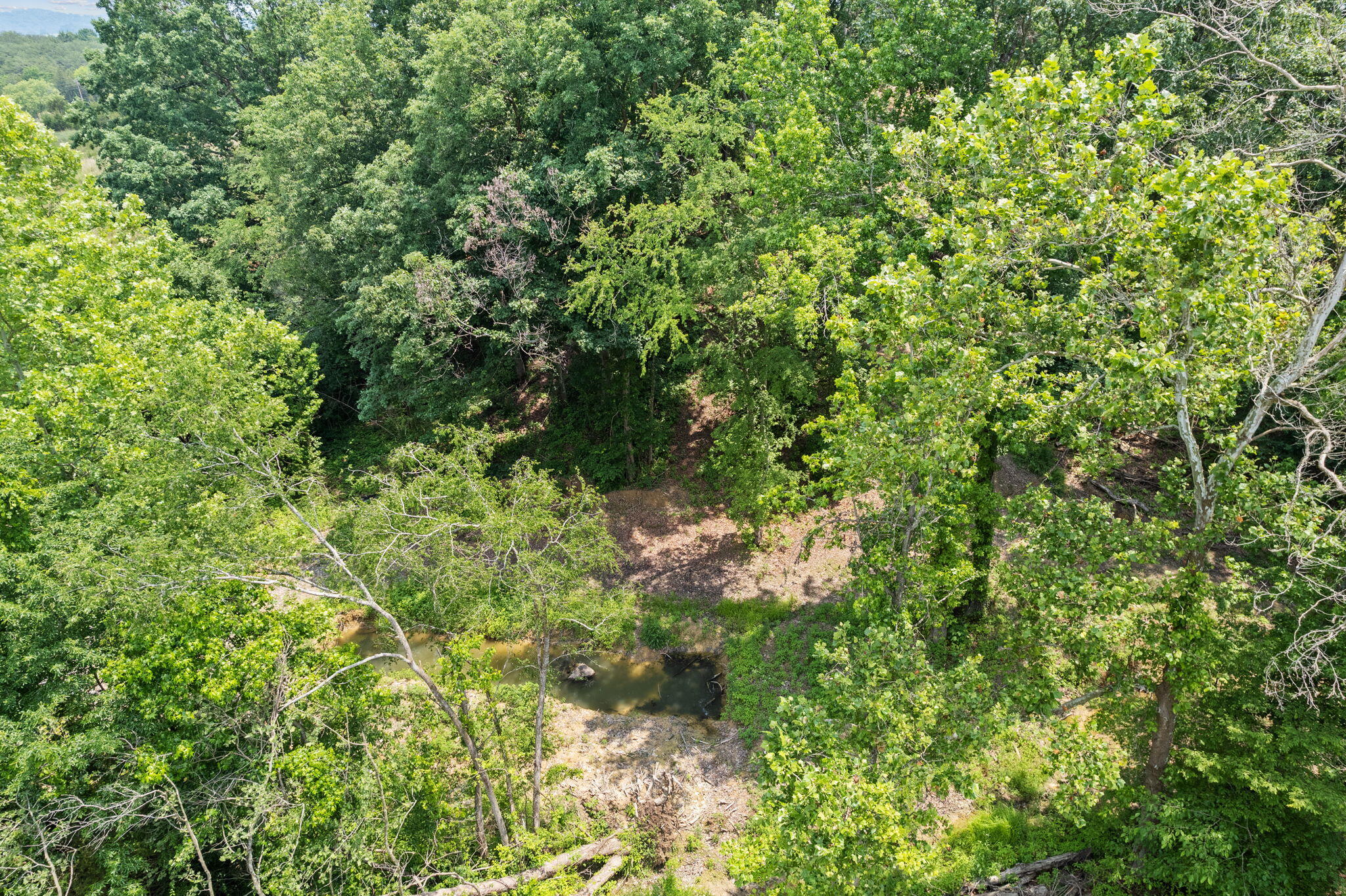 2180 Carpenters Chapel Road Mosheim, TN 37818 - Photo 35 of 36 41-web-or-mls-DJI_0086