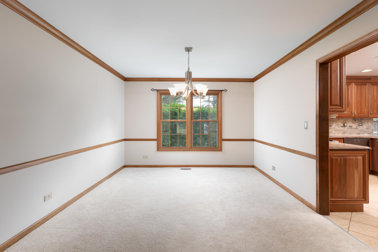 1756 East Bailey Road Naperville, IL 60565 - Photo 16 of 34