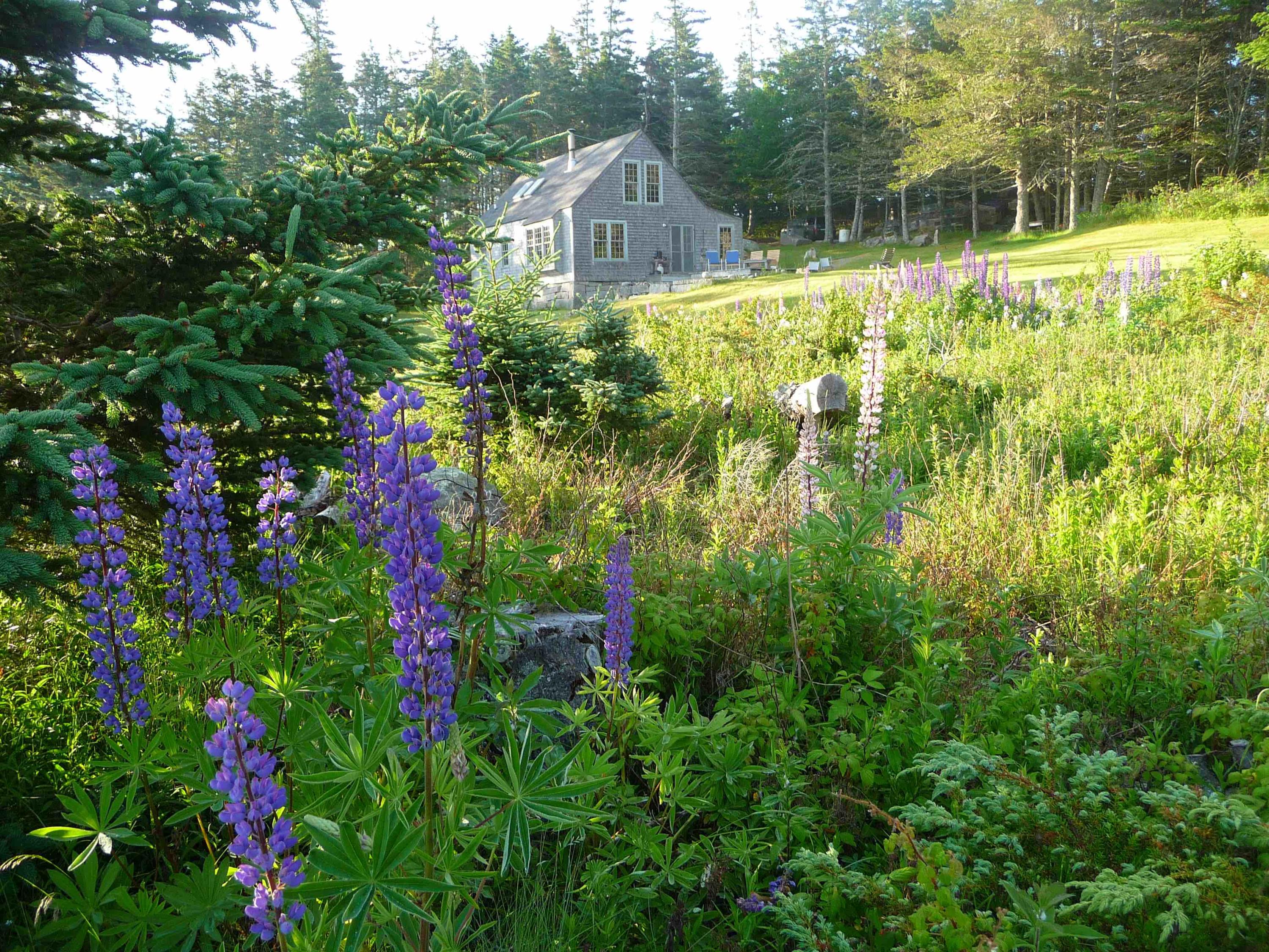 145 Dyers Island Road Vinalhaven, ME 04863 - Photo 18 of 28 KARE'S YARD-E