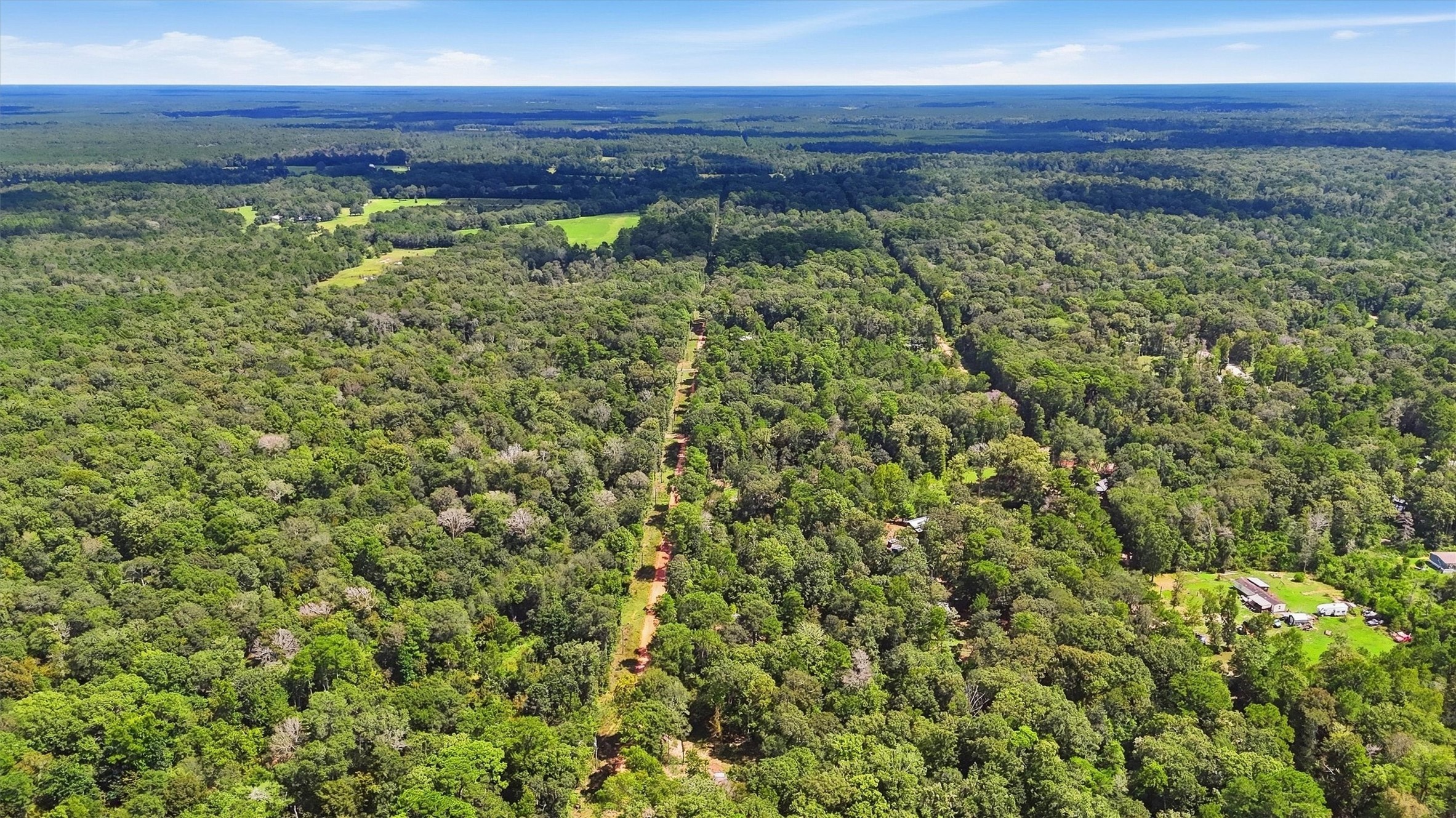 0 Josephine Road Livingston, TX 77351 - Photo 10 of 17 Gallery Image 10