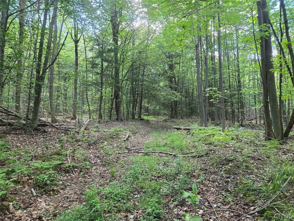 7988 Dowd Road Pike, NY 14735 - Photo 31 of 37