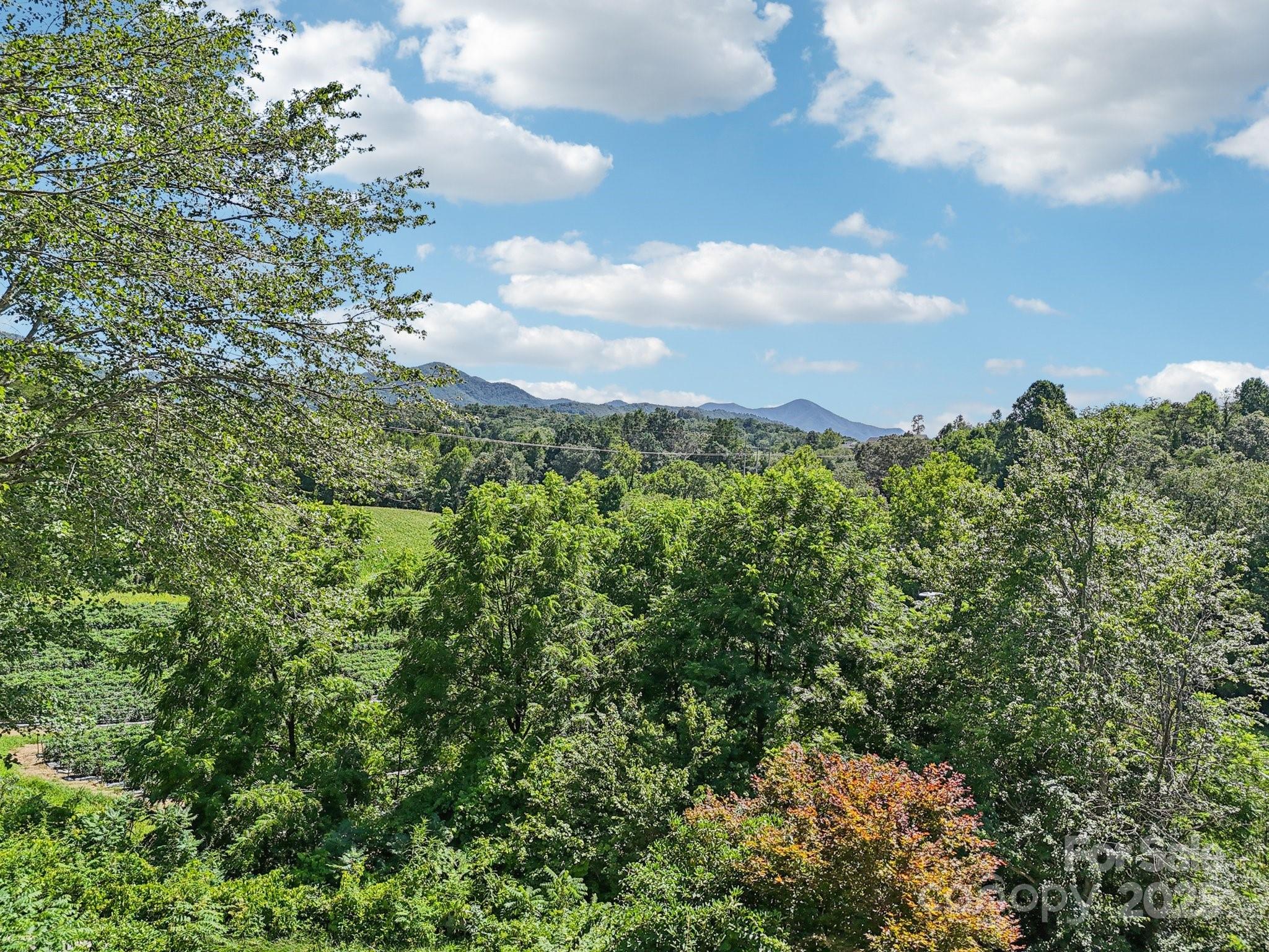 203 North Beaverdam Road Candler, NC 28715 - Photo 3 of 40