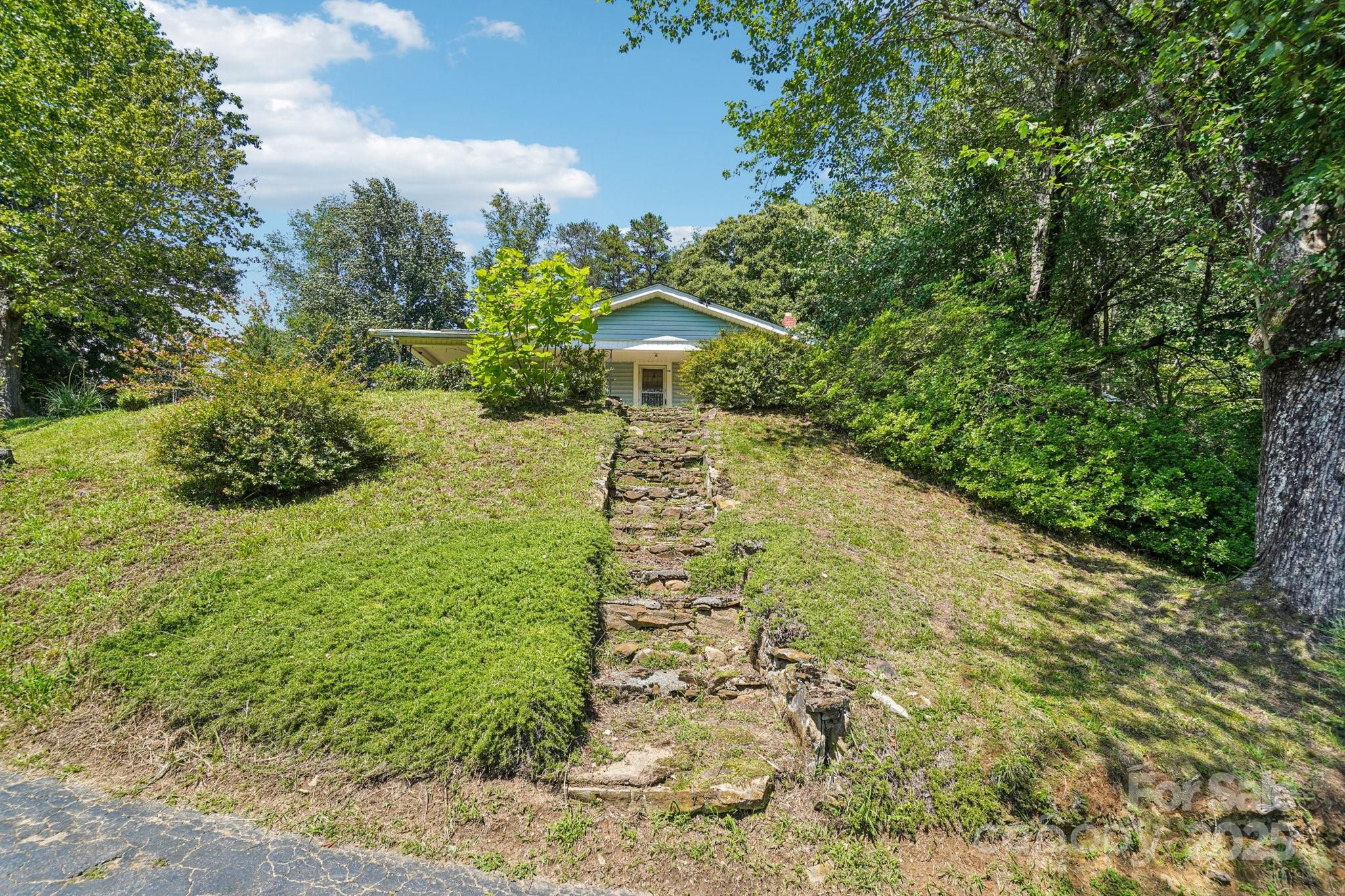 203 North Beaverdam Road Candler, NC 28715 - Photo 33 of 40 a view of a yard with plants and large trees