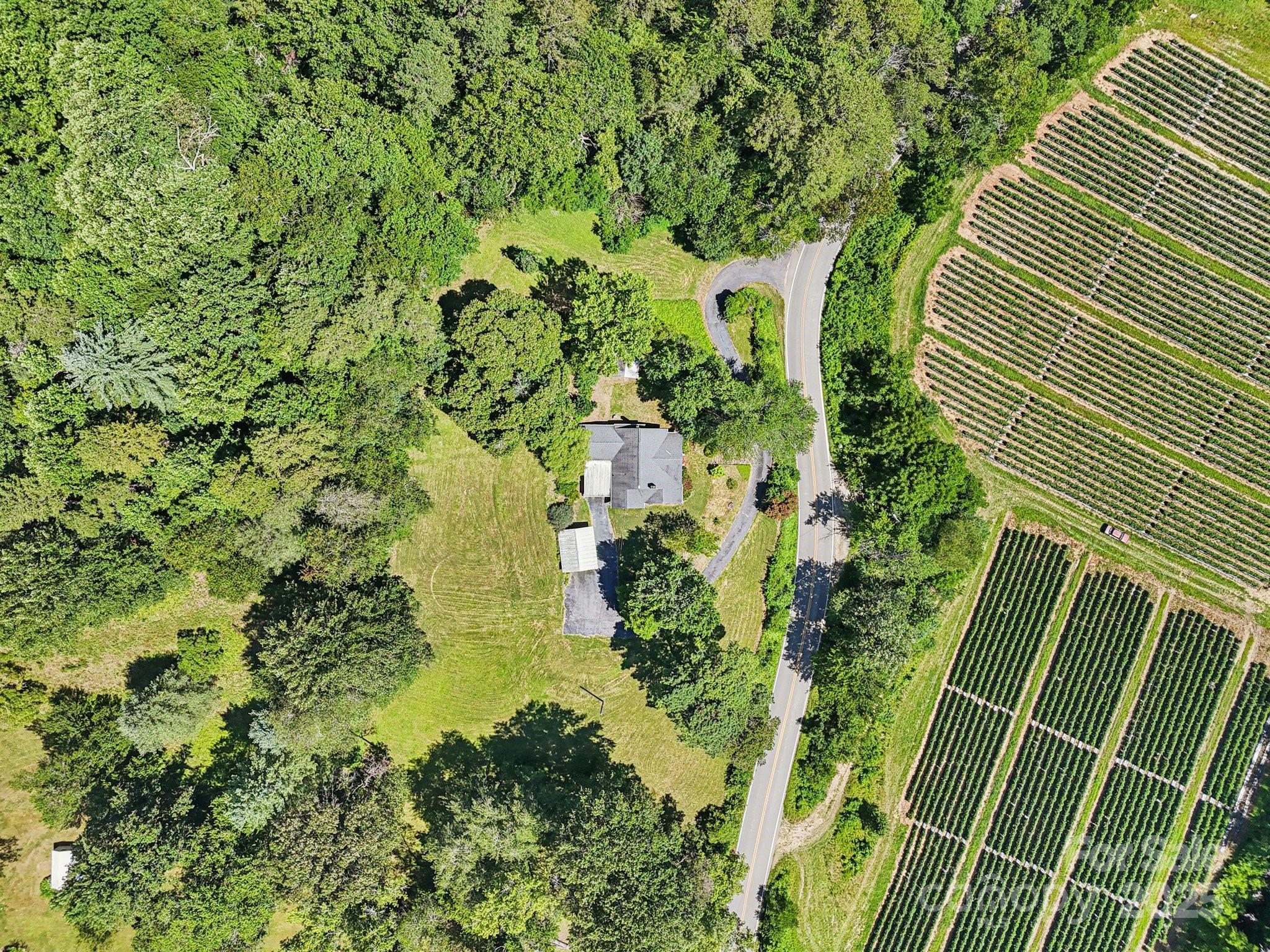 203 North Beaverdam Road Candler, NC 28715 - Photo 40 of 40 a view of a garden