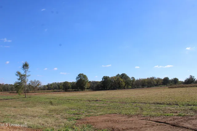 $35,000 | 38 Pin Oak Road, Michigan City, MS 38647